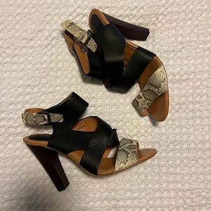 Zara basic collection strappy heels